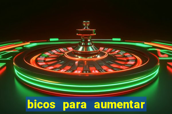 bicos para aumentar a renda